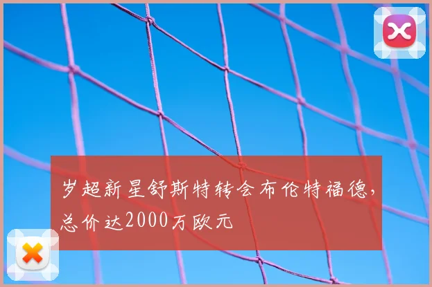 岁超新星舒斯特转会布伦特福德，总价达2000万欧元
