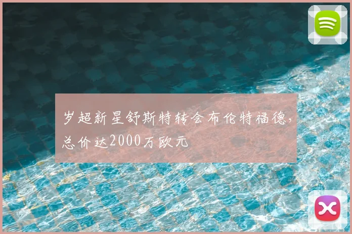 岁超新星舒斯特转会布伦特福德，总价达2000万欧元